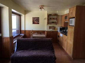 Appartement Valloire, 2 pièces, 5 personnes - FR-1-263-456